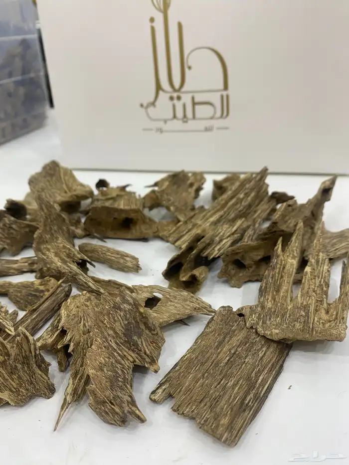 عود سومطري مميز 3