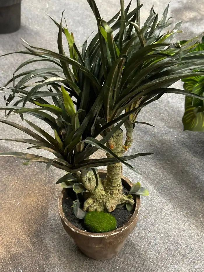 قطع تجهيز مناسبات 10