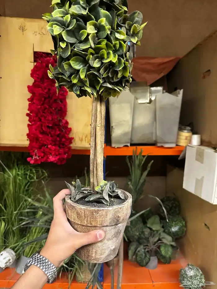 قطع تجهيز مناسبات 7