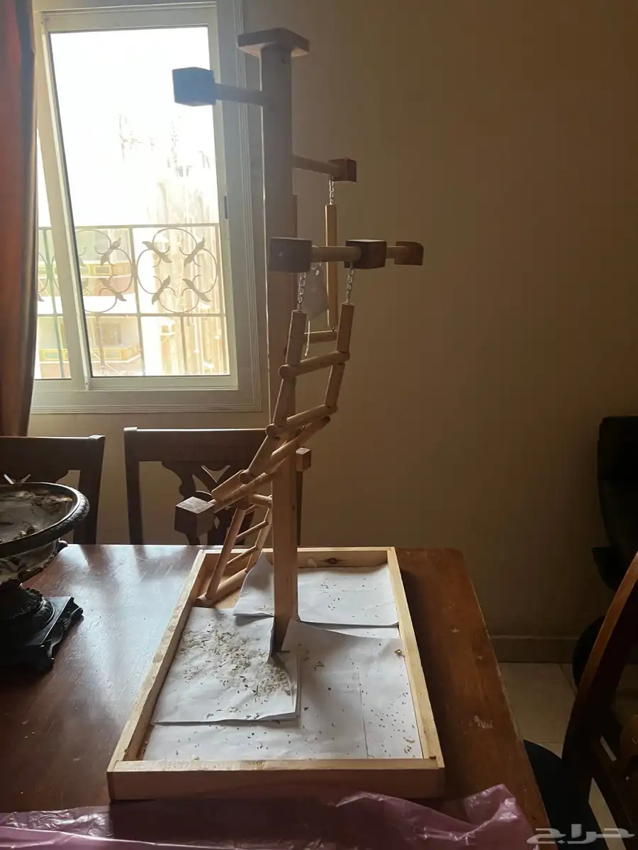 تسلق طيور 0