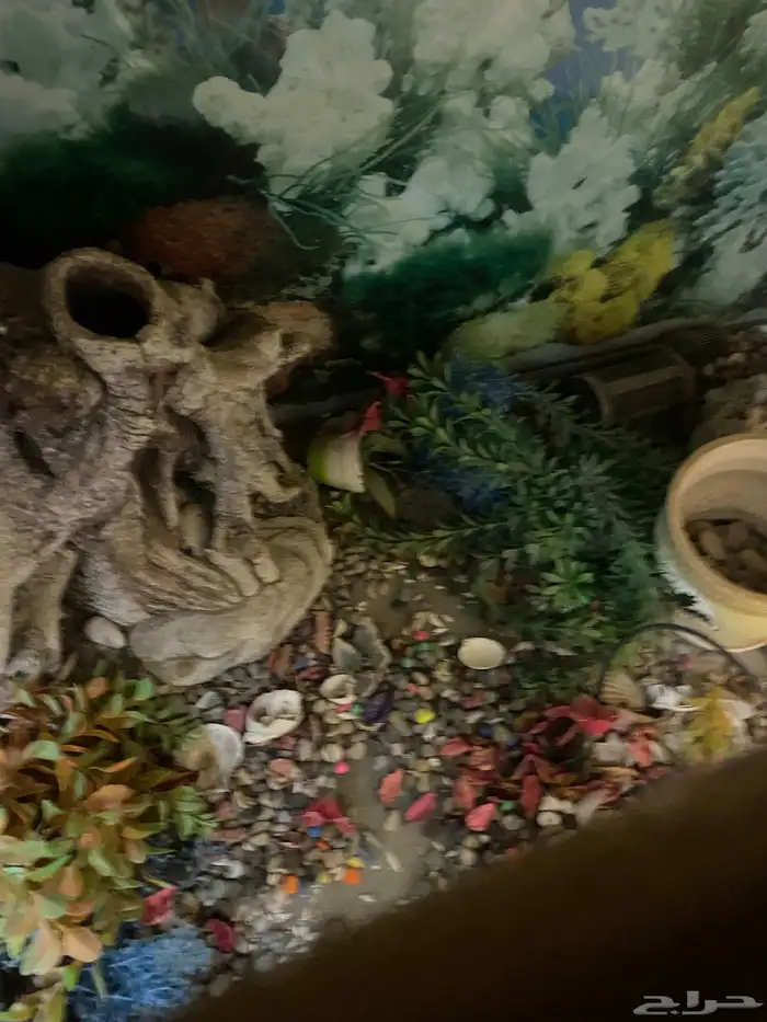 حوض سمك مع ادراج ارضيه 4