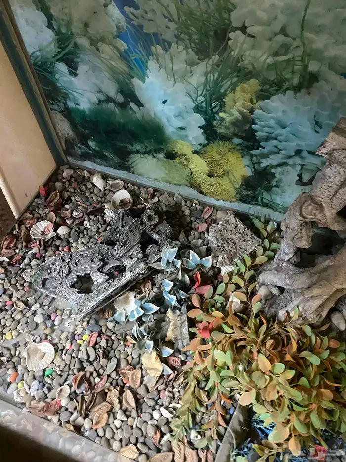 حوض سمك مع ادراج ارضيه 3