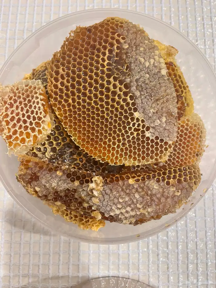 شمع عسل طلح 2