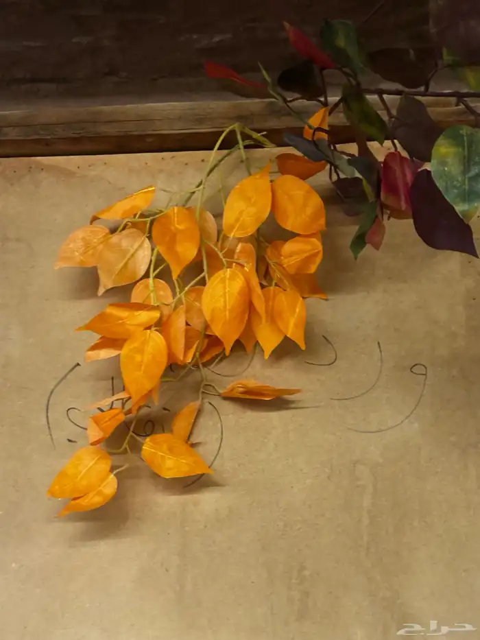 قطع تجهيز مناسبات 33