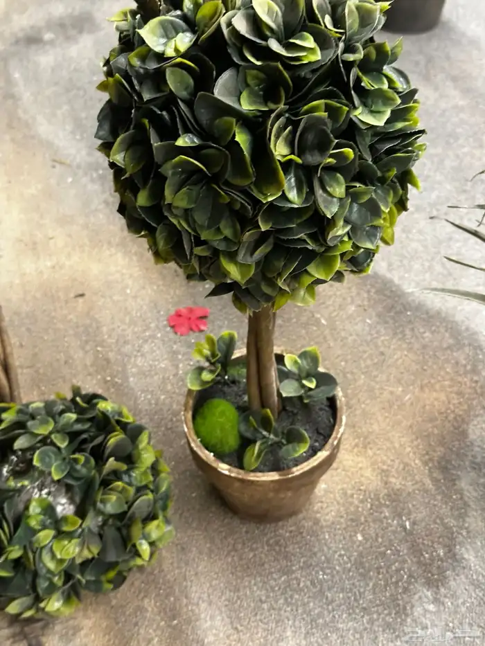 قطع تجهيز مناسبات 9