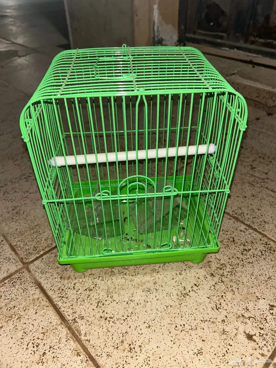 شبوك طيور زينه 1
