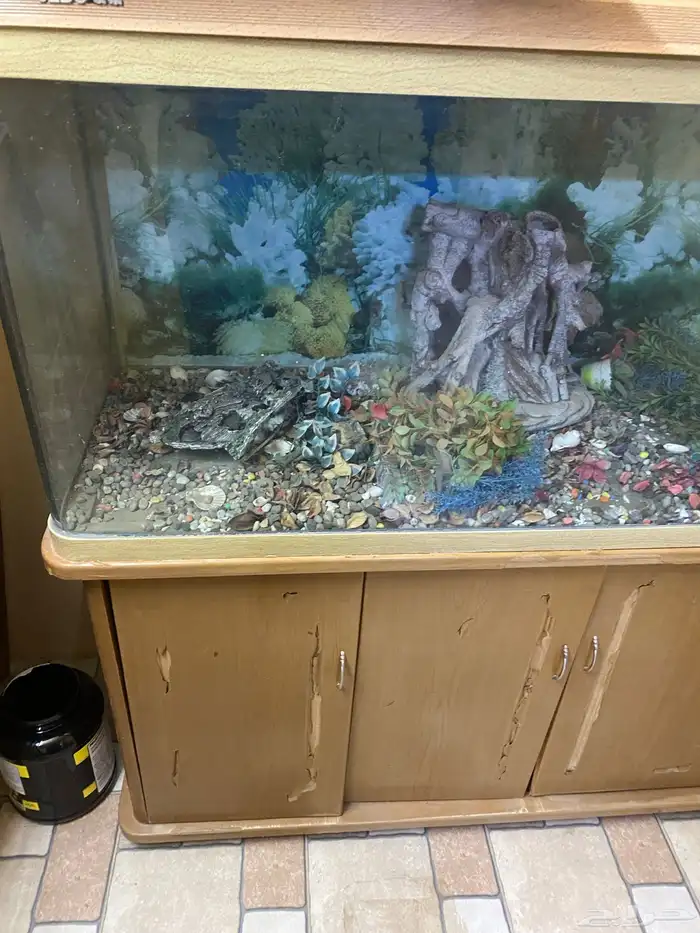 حوض سمك مع ادراج ارضيه 6