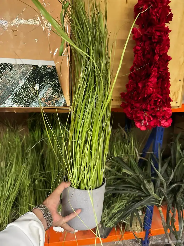 قطع تجهيز مناسبات 4