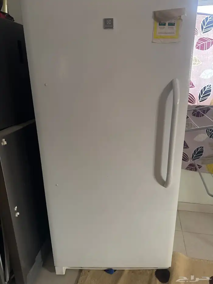 الاحساء الحليله 0