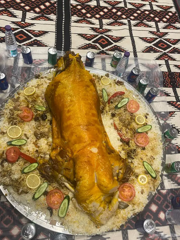 طباخ بر ومخيمات متواجدين في الصياهد 3