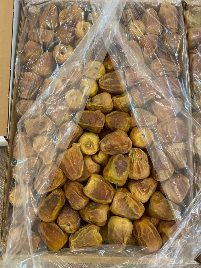 تمر مفتل سكري درجه اولى 1