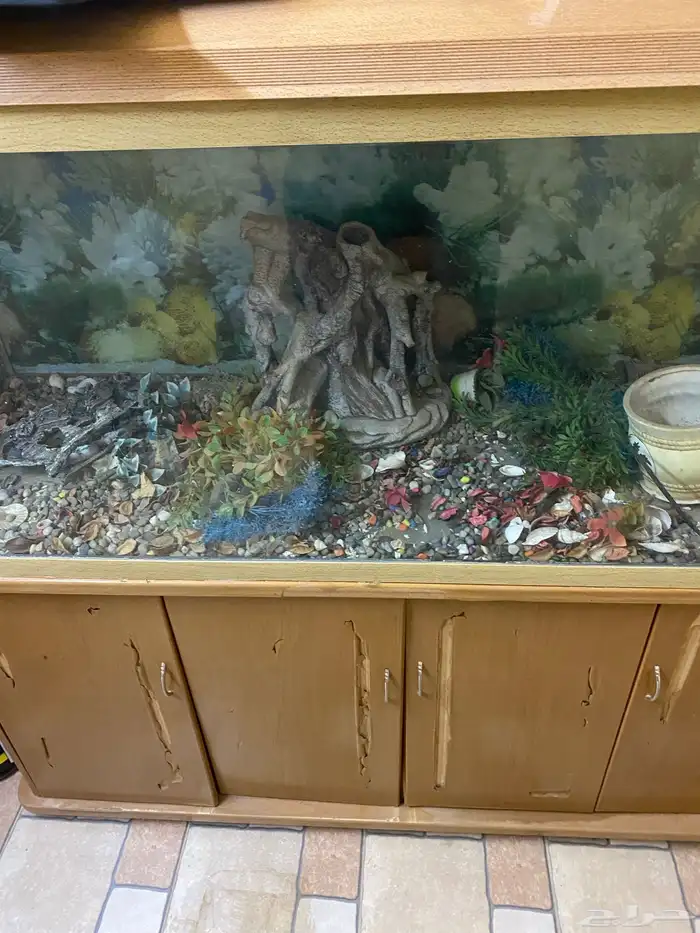 حوض سمك مع ادراج ارضيه 7