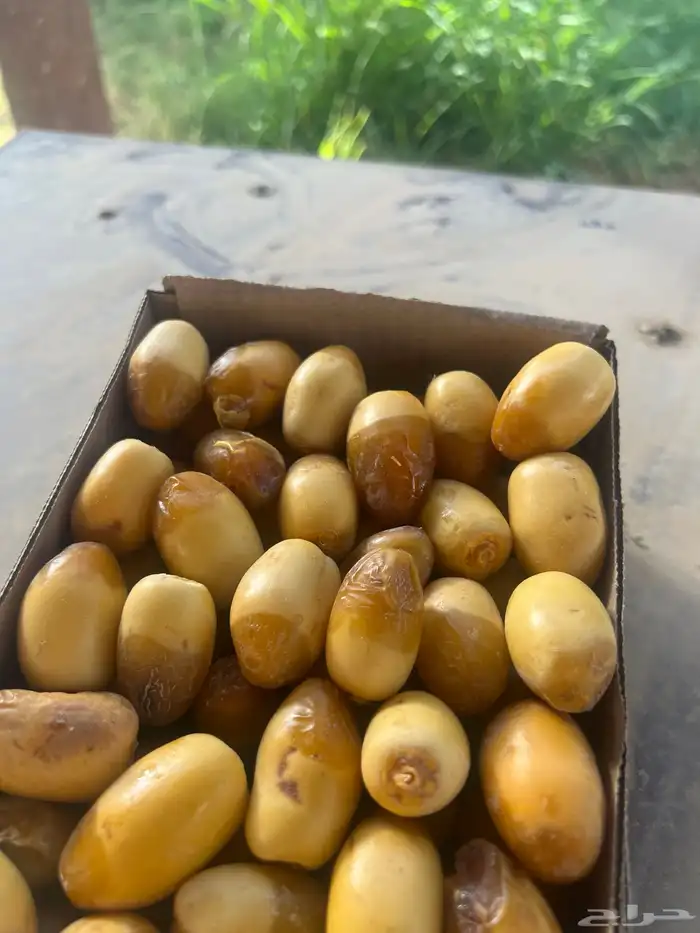 رطب عضوي 100 المزاحمية 0