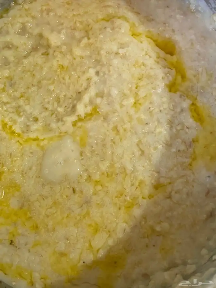 طباخ بر ومخيمات متواجدين في الصياهد 7