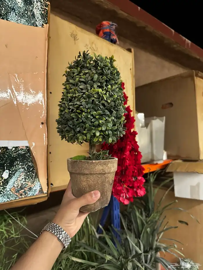 قطع تجهيز مناسبات 3