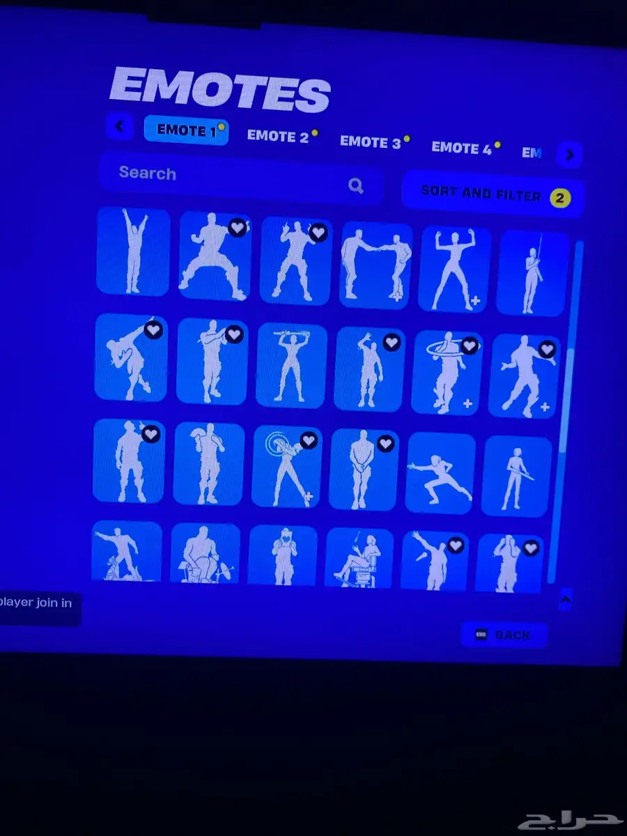 حساب فورتنايت 22