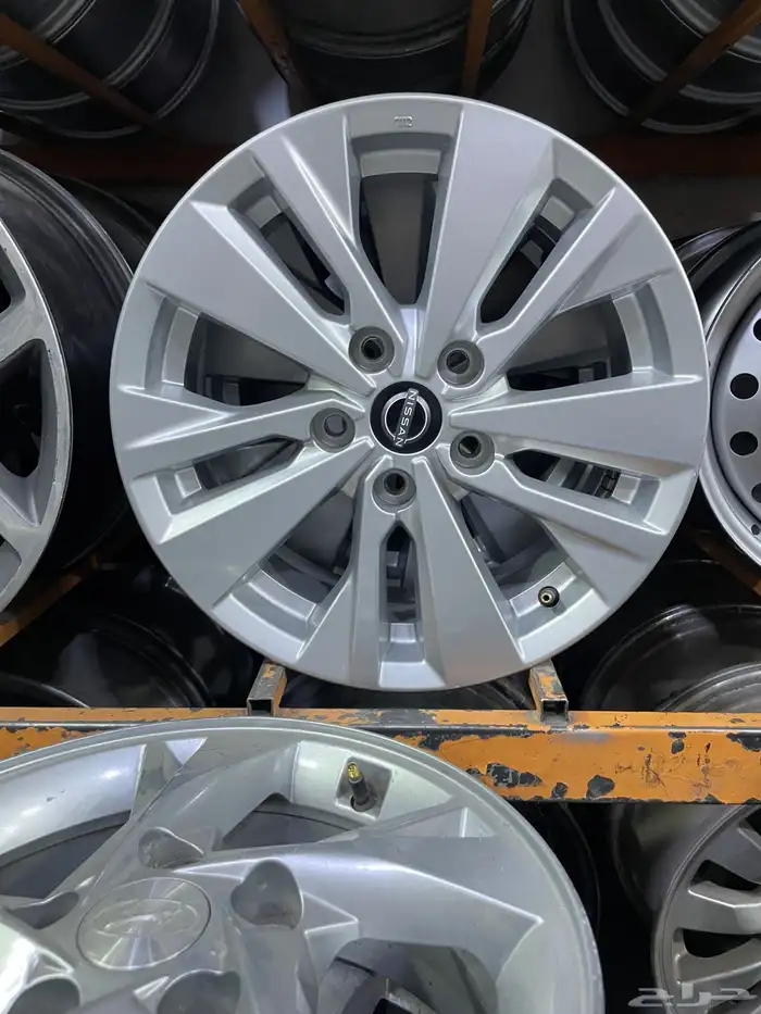 جنوط نسينا أوبتيما 2023 0