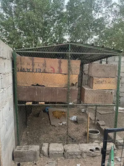 عشش حديد بقلاوة ومحاكر ومعالف وظرف حديد 0