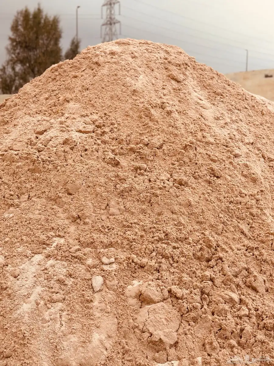 khamis mugshot Sand seeds 2