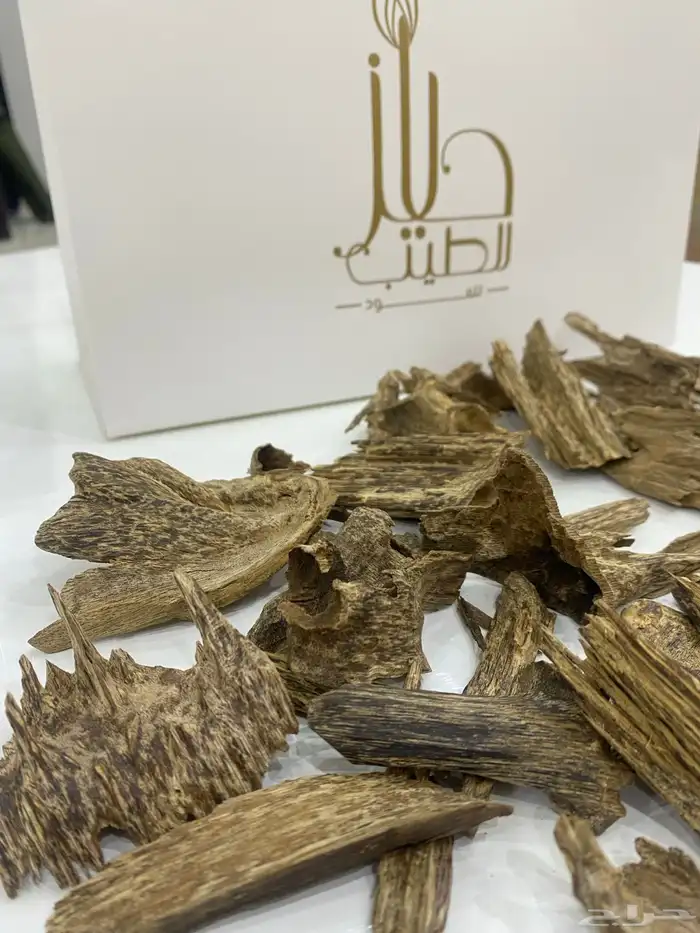 عود سومطري مميز 2