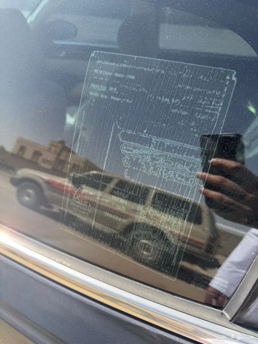 كادنزا 2018 6