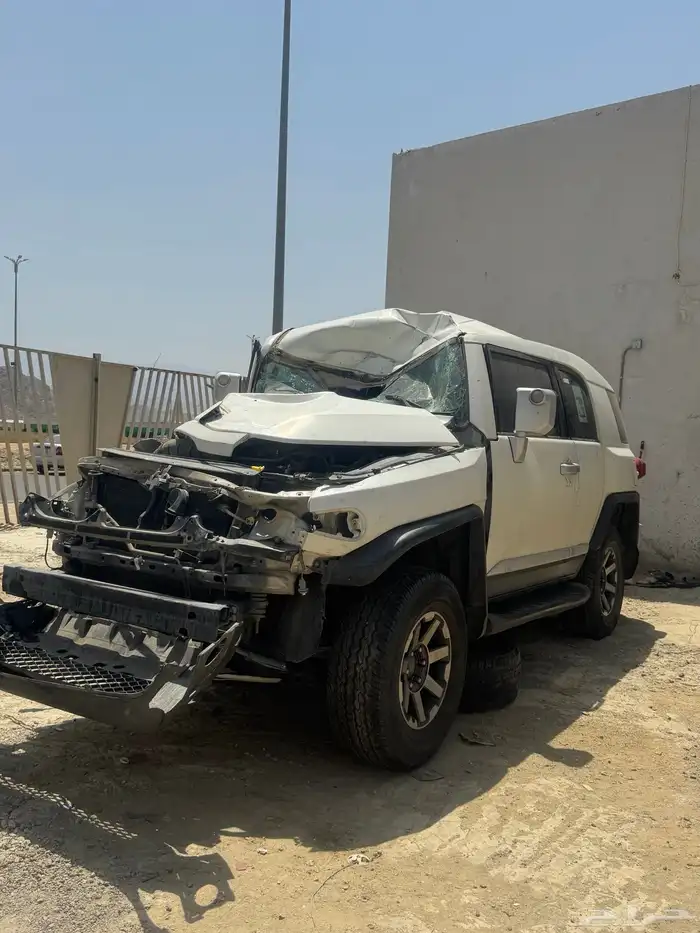 افجي 2010 0