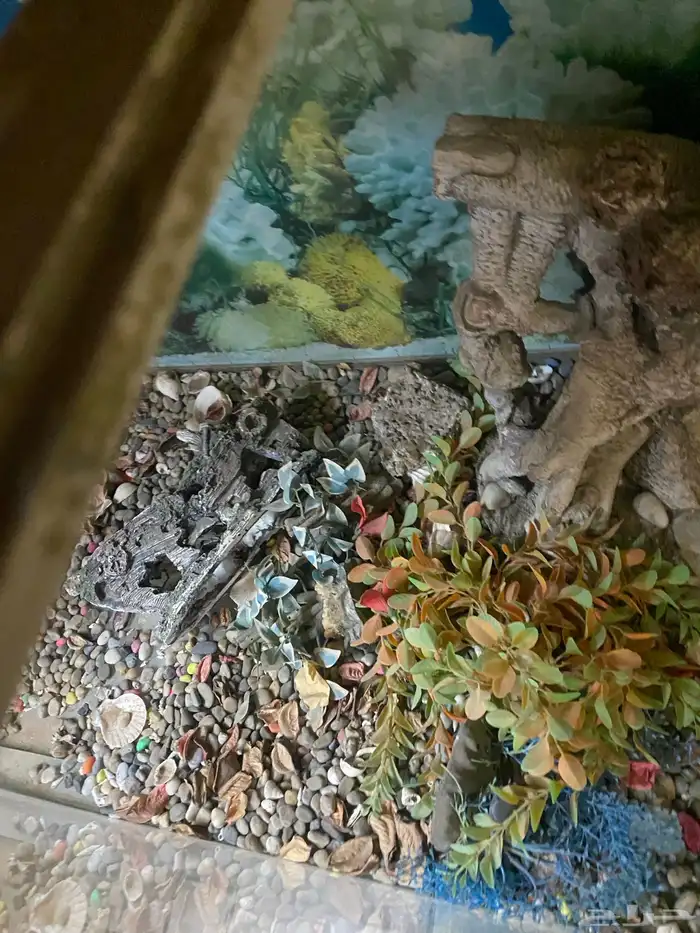 حوض سمك مع ادراج ارضيه 5