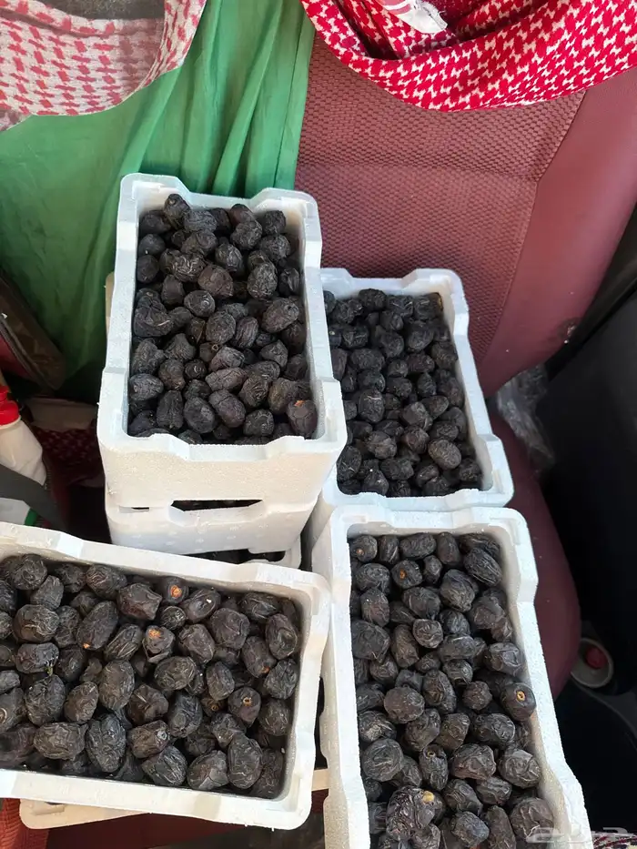 عجوة الفلين ب 30 العدد 40 0