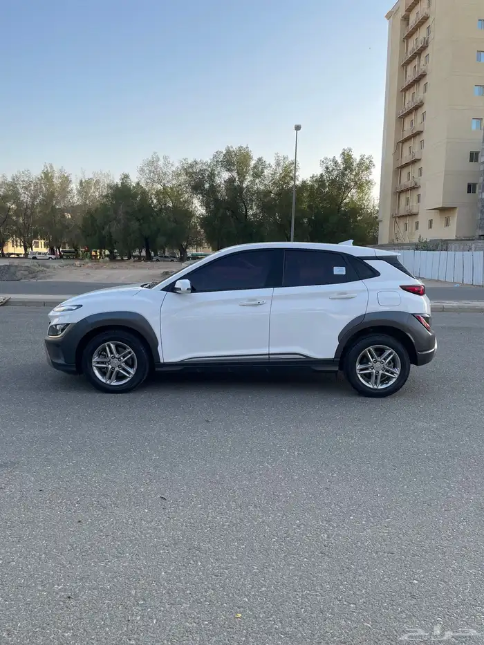 هيواندي كونا 2021 بطاقة جمركية 4