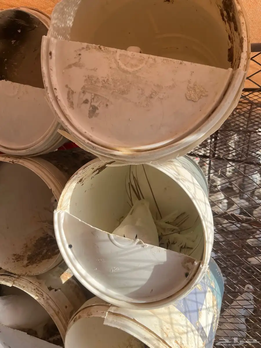 حمام فرنسي جامبو 42