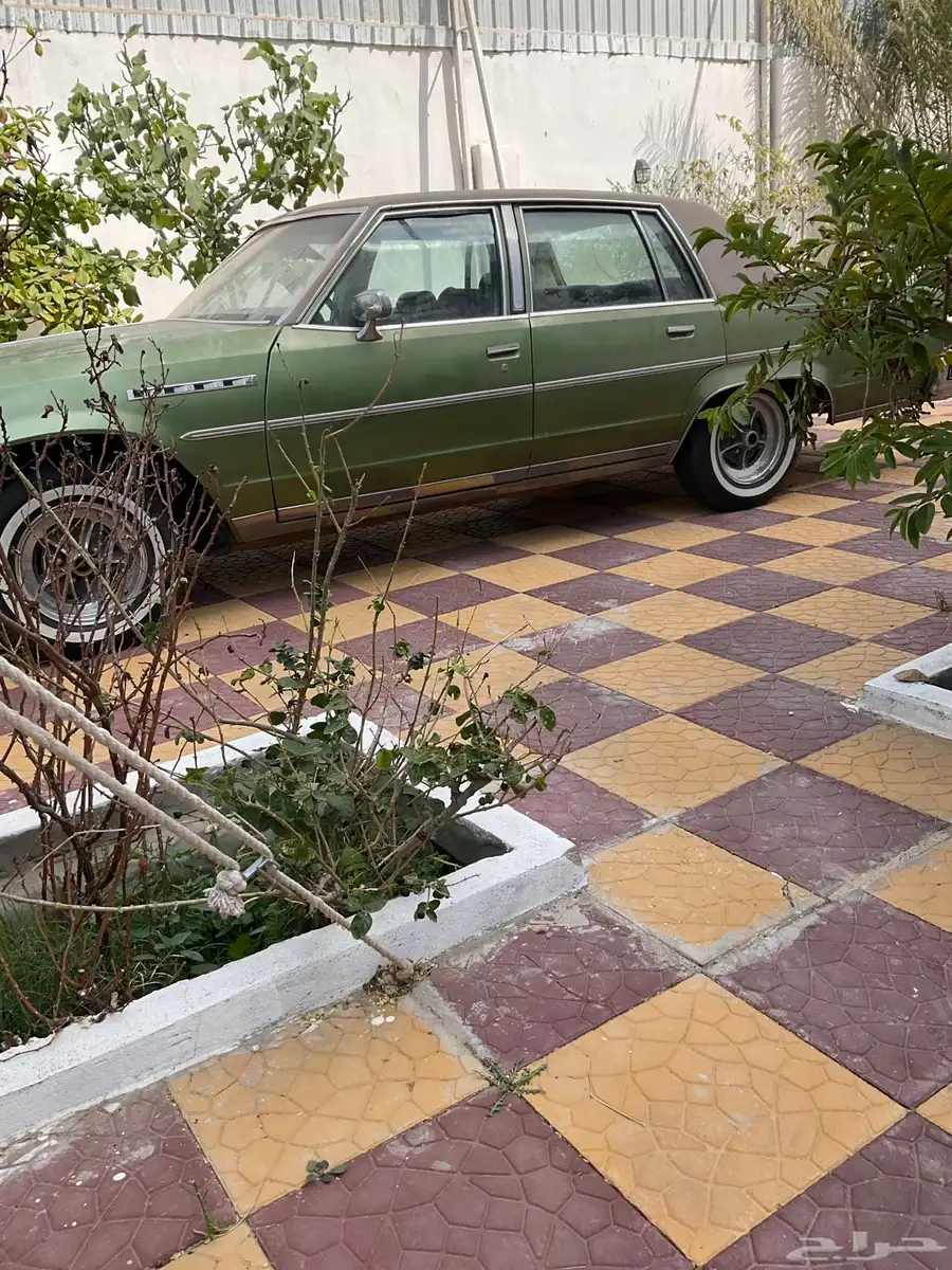 بيوك 79 3