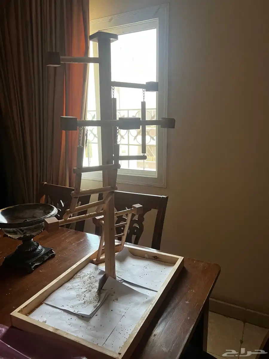 تسلق طيور 1