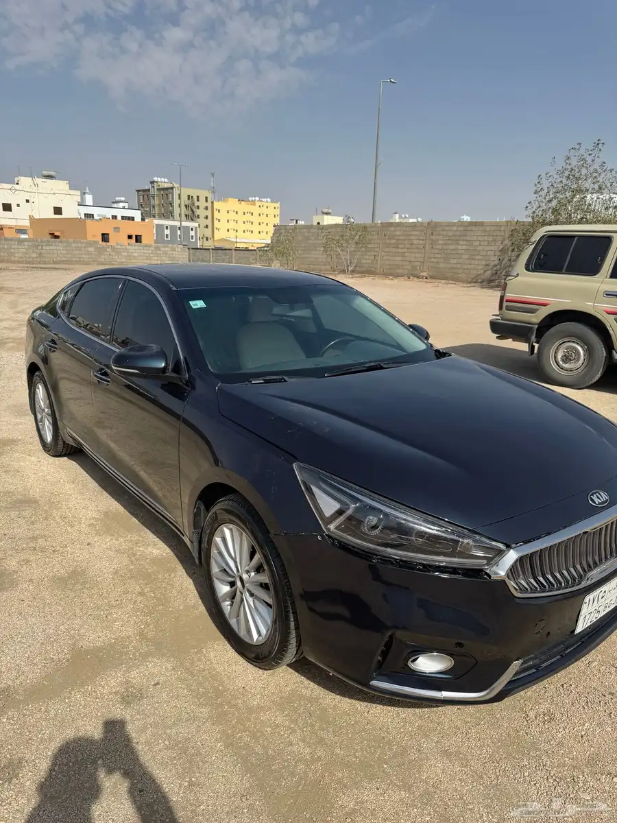 كادنزا 2018 7