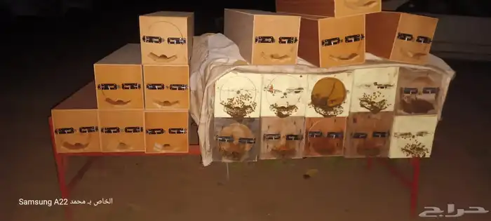 اعواد نحل للبيع فراغه جديد لم تستخدم 62 عود 0