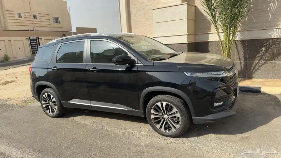شفرلية كابتيفا 2025 1