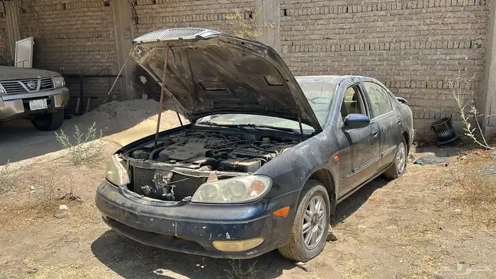 قطع مكسيما 2002 14