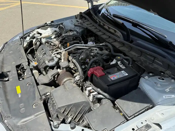 التيما 2024 نص فل للتنازل بدون مقابل 5