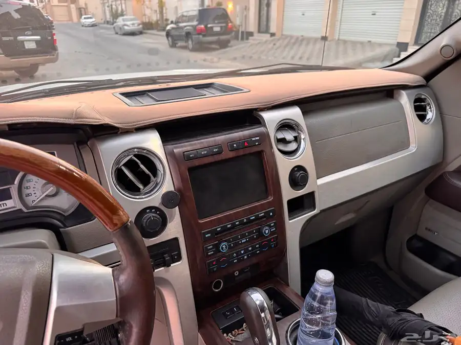 F-150 PLATINUM 2010 6