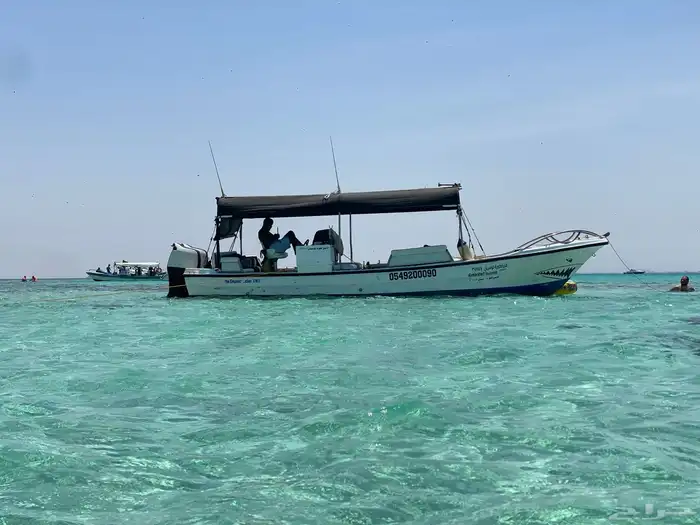 عروض جزيرة بياضة 14