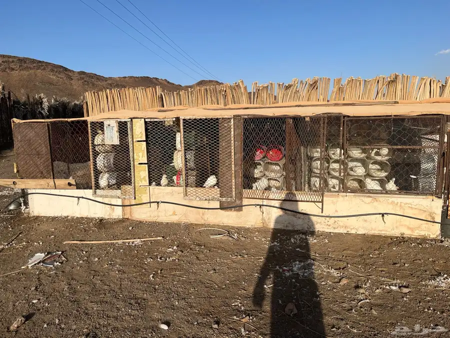 حمام فرنسي جامبو 17