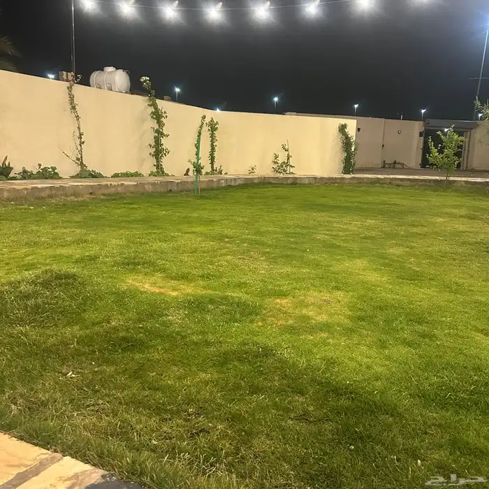 للايجار اليومي استراحة غرب بريدة 13