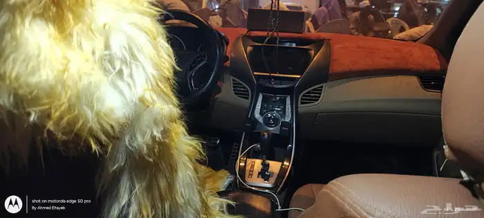 النترا 2014 0