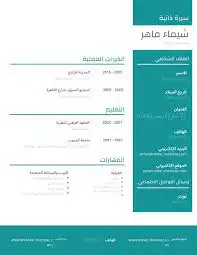 سيرة ذاتية جديدة وعملية 2