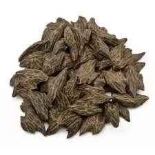 عود تايغر ممتاز 0