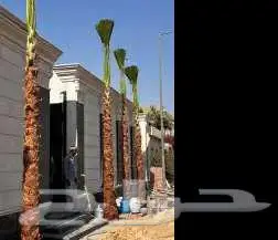 مقاول شبوك والحداده 10