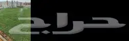 تنسيق حدائق التيل الطبيعي العشب الصناعي 7