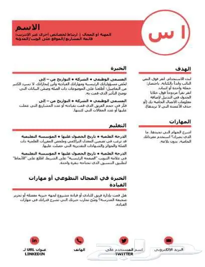 هل ترغب في سيرة ذاتية احترافية 0