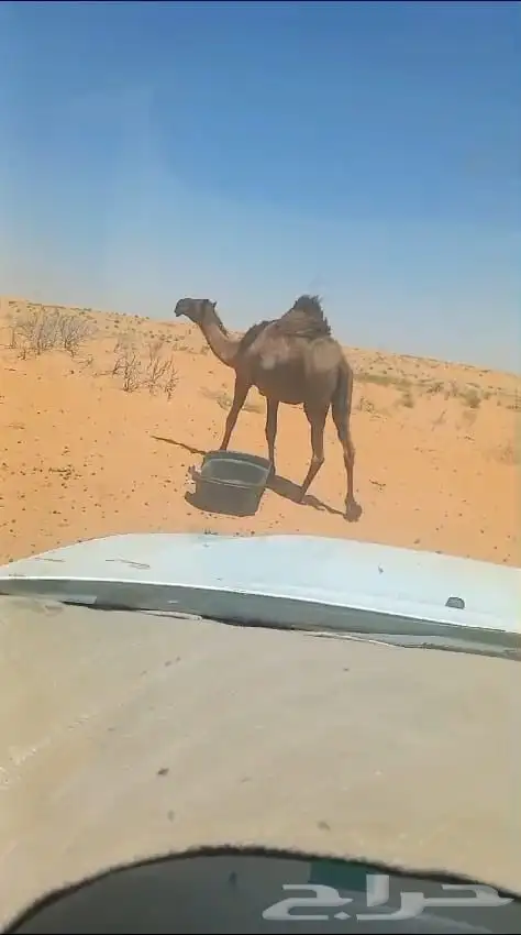 تربه 0