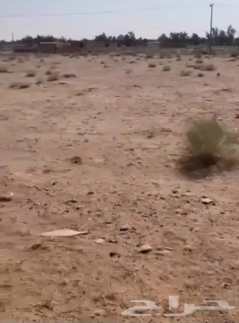 ارض زراعية للبيع في دخنه 90 الف ريال 1