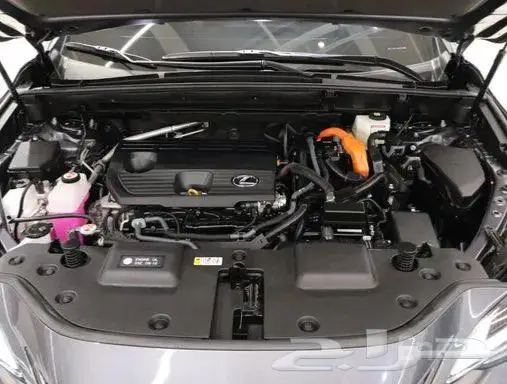 لكزس Nx350 موديل2025 4